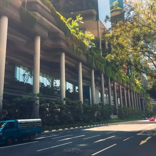 Yeşil teraslı modern Singapur mimarisi