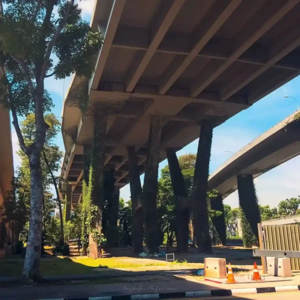 Singapur'da yeşil bitki örtüsüyle kaplı köprü ayakları