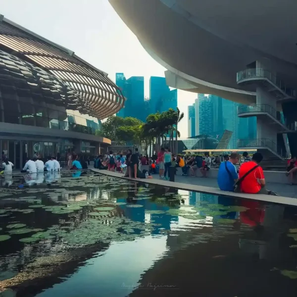 Singapur'da modern mimari ve su ögesi