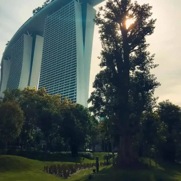 Singapur yüksek katlı binası ağaçlar arasında