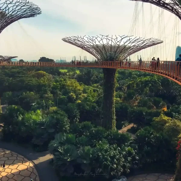 Singapur'un fütüristik bahçeleri