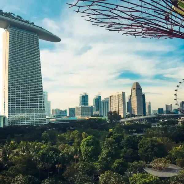 Singapur silüeti, Marina Bay Sands, Supertree Grove