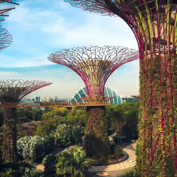 Singapur'un fütüristik Supertree Grove manzarası