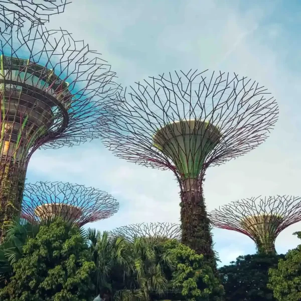 Singapur'un fütüristik süper ağaçları
