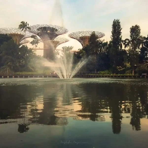 Gardens by the Bay'de fıskiyeli göl manzarası