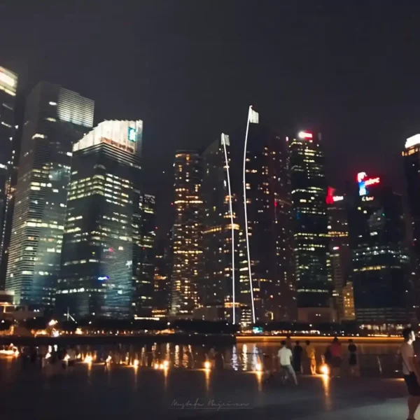 Singapur gece şehir manzarası