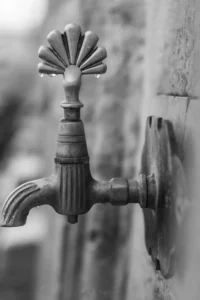 Siyah Beyaz: Zamansız Bir Zarafet 5 siyah beyaz 00005