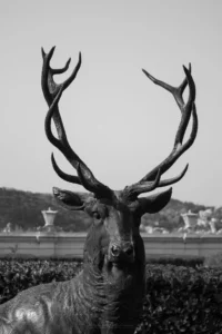 Siyah Beyaz: Zamansız Bir Zarafet 11 siyah beyaz 00007