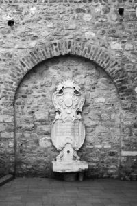 Siyah Beyaz: Zamansız Bir Zarafet 13 siyah beyaz 00009