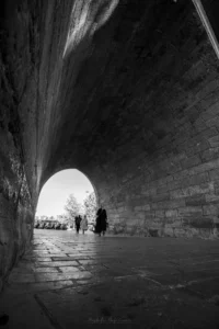 Siyah Beyaz: Zamansız Bir Zarafet 20 siyah beyaz 00015