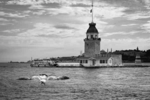 Siyah Beyaz: Zamansız Bir Zarafet 21 siyah beyaz 00017