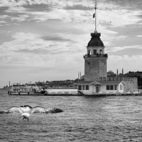 siyah beyaz 00017