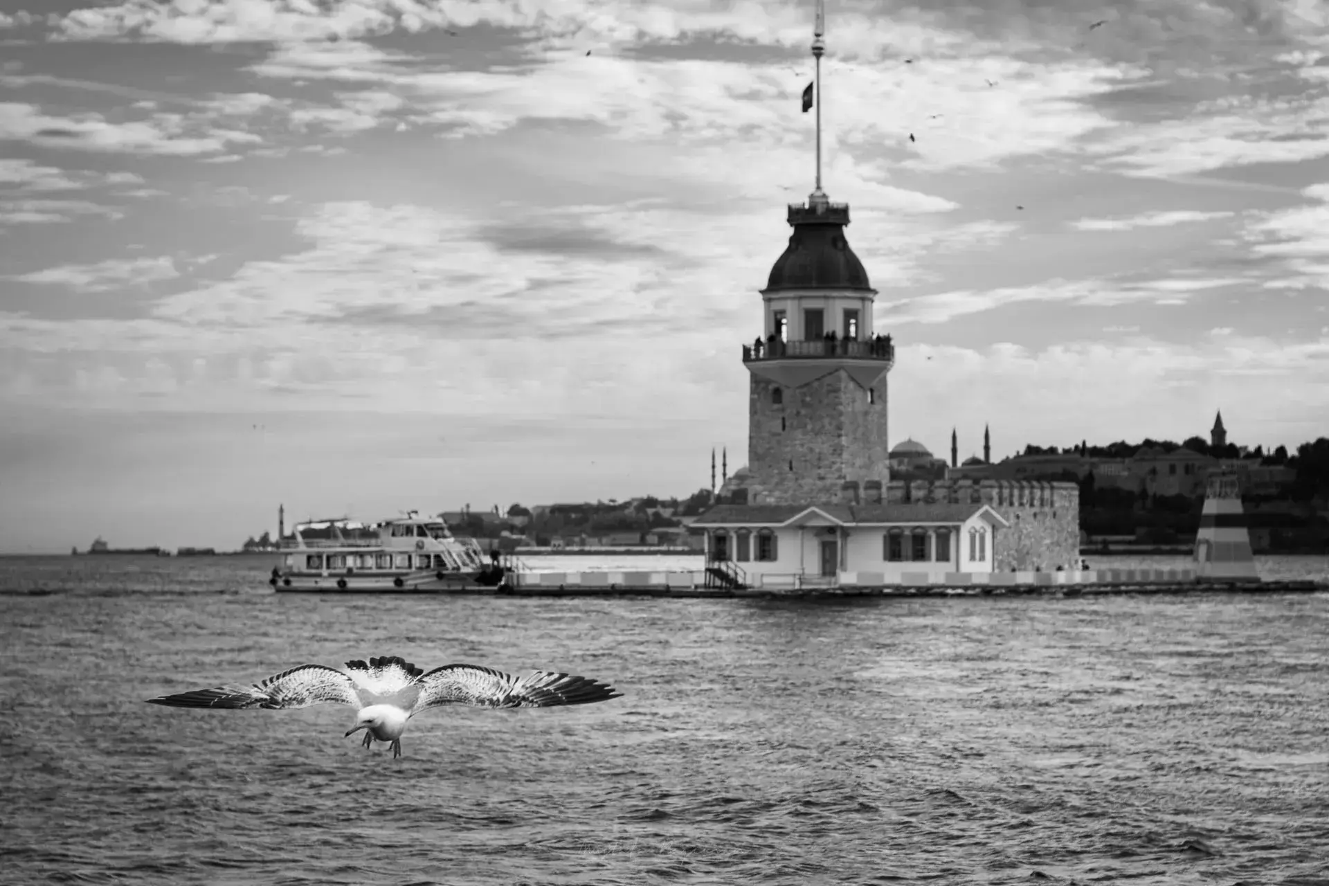 Arka planda Kız Kulesi ile Boğaz'ın üzerinde uçan martı
