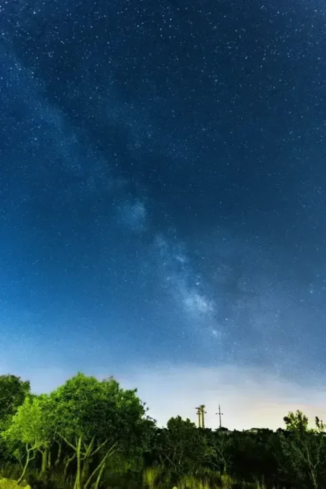 Gece vakti yemyeşil bir ormanın üzerinde Samanyolu Galaksisi. Yıldız gözlemi maceraları için mükemmel.