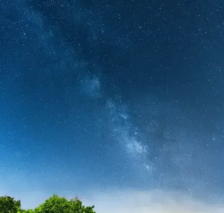 Gece vakti yemyeşil bir ormanın üzerinde Samanyolu Galaksisi. Yıldız gözlemi maceraları için mükemmel.