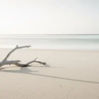 kum-sahil-odun-parcasi-gorsel-denge