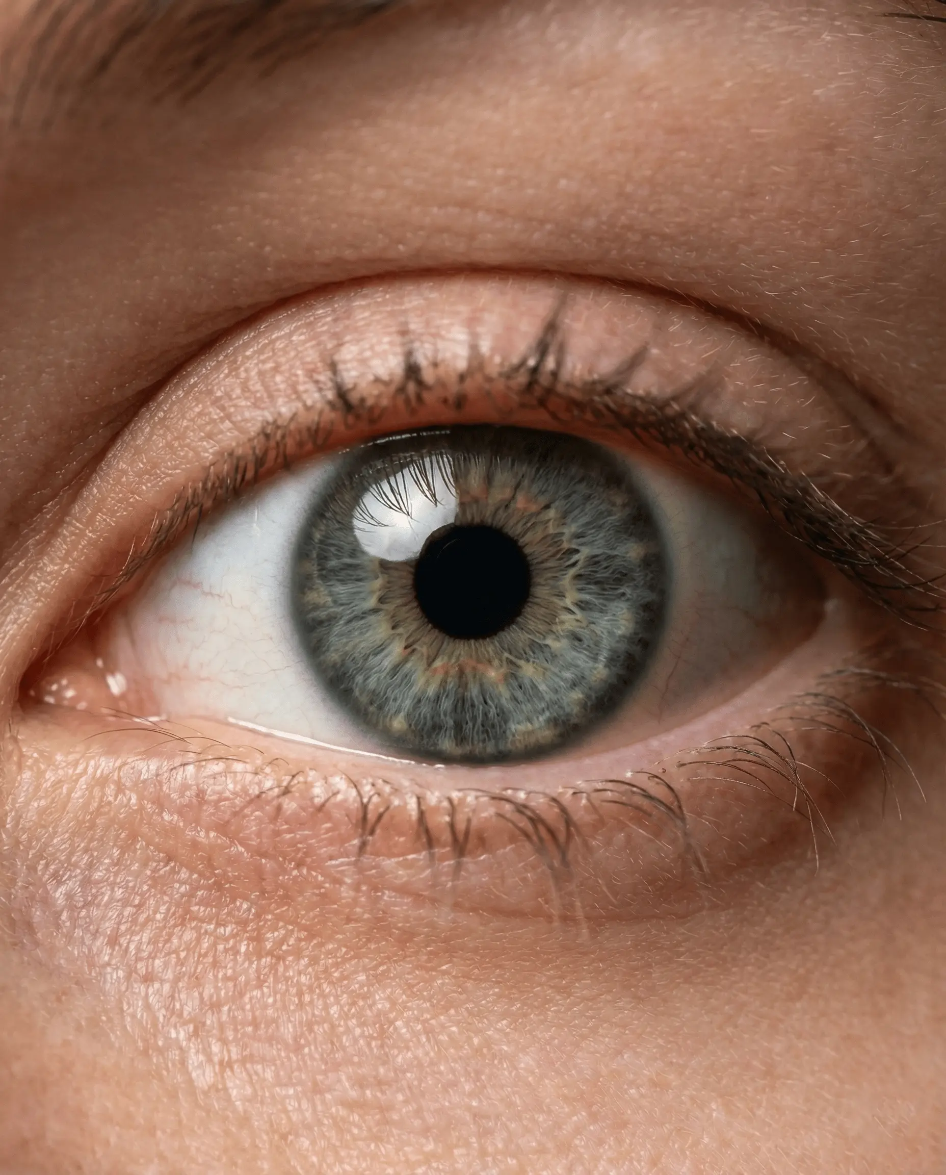 High End Retouch 00005