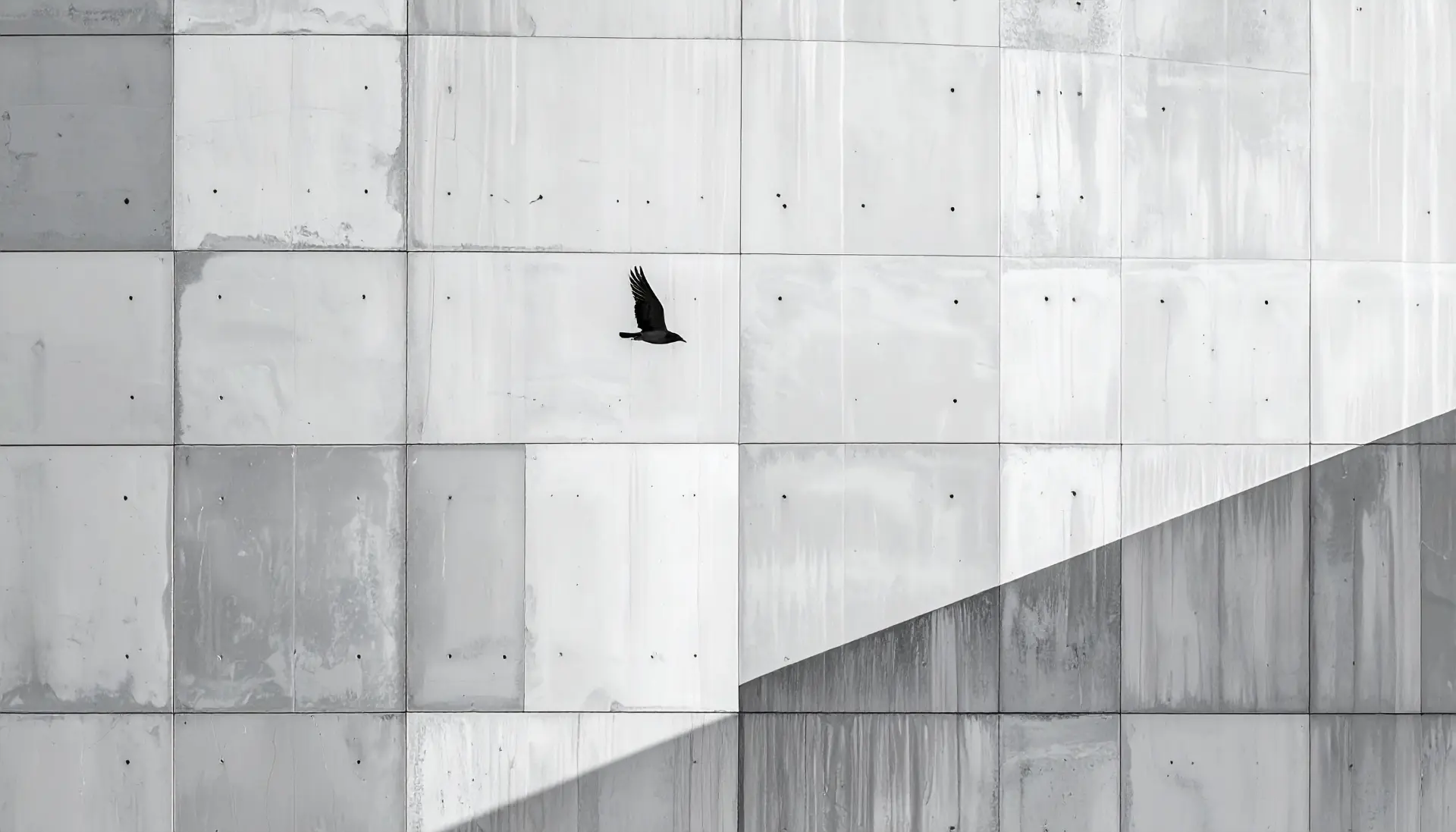 Boşluğun Doluluğu: Kadrajın Dışında Kalan Hikâyeler 3 A small silhouette of a lone bird flying over a massive textured grey concrete wall 778679